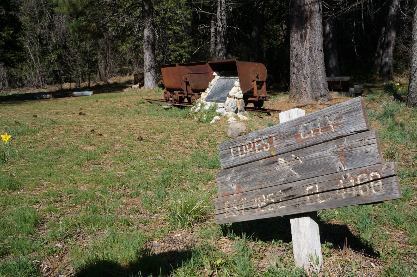 Forest City – Explore Real California Gold Mines!