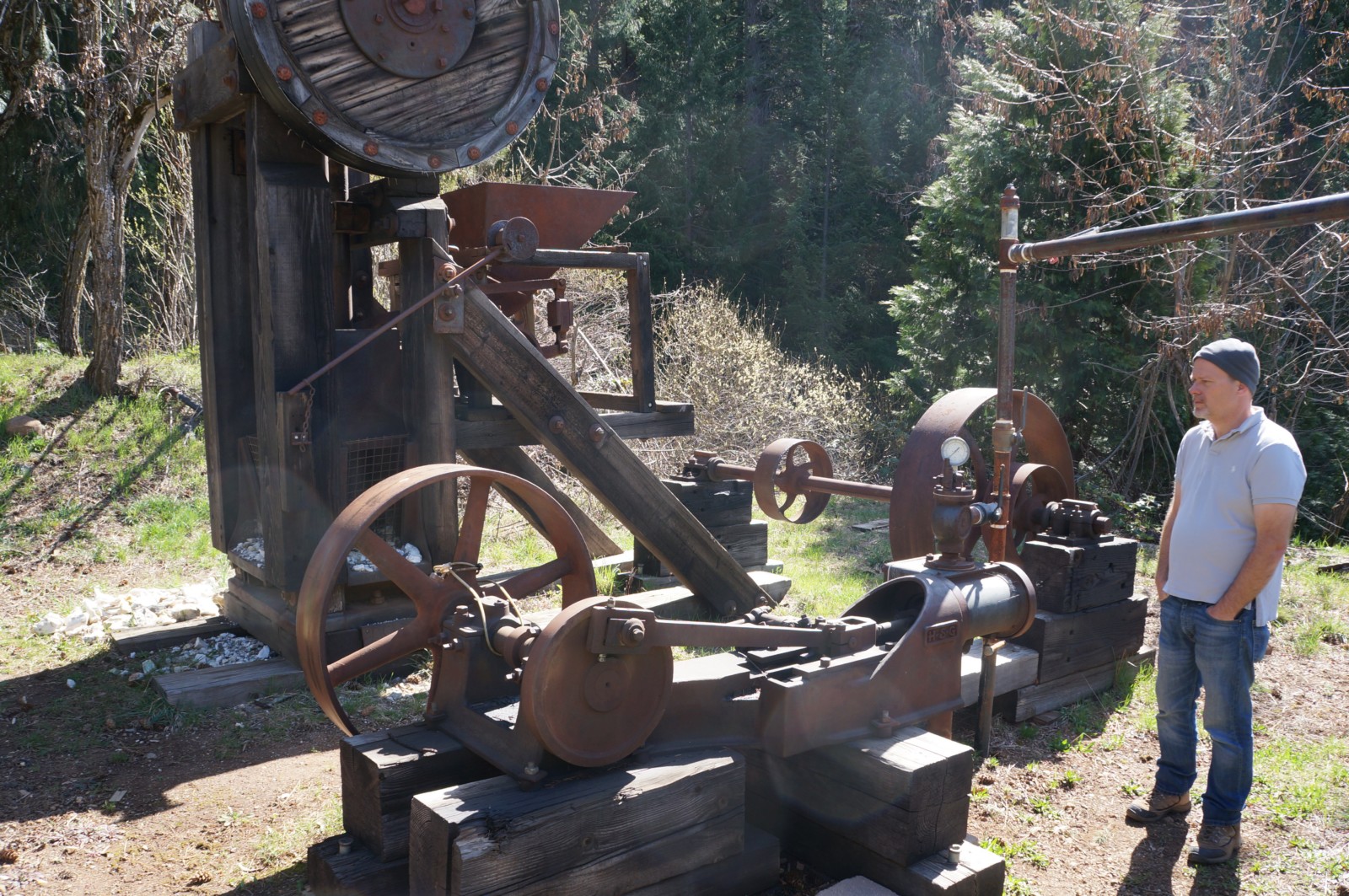 Forest City – Explore Real California Gold Mines!