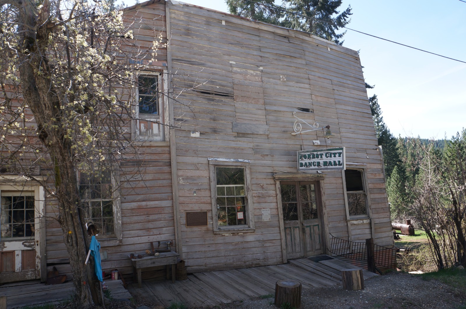 Forest City – Explore Real California Gold Mines!